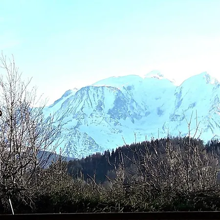 Vallée Blanche Appartement Combloux